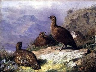 FANBUiHU Famous Photo Paintings Abstract Artwork Red Grouse on the Shore of a Loch by Archibald Thorburn Posters Prints Art for Home Decor 60x90cm