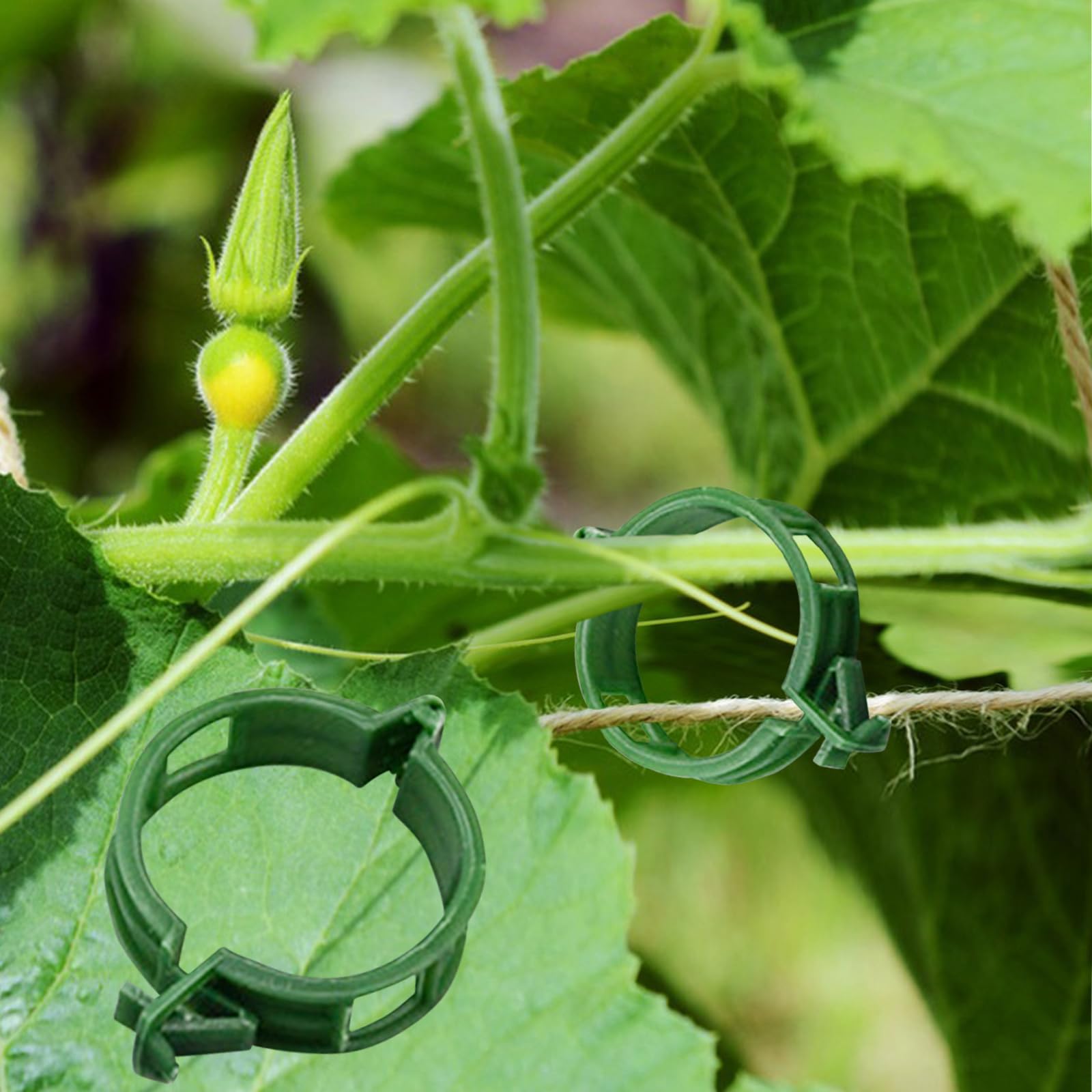 Winmany 100PCS Plant Support Garden Clips Tomato Clips Supports/Connects Plants/Twine/Vines Trellis/Cages Plant Vine Vegetable Fastening Clip Grafting Tools Make Plant Grow Upright and Healthier โ image 1