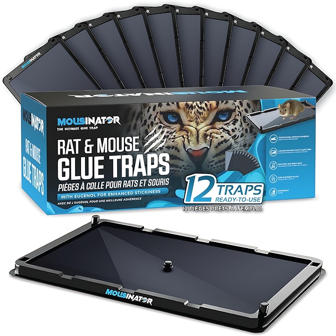 MOUSINATOR Large Glue Traps for Rats & Mice