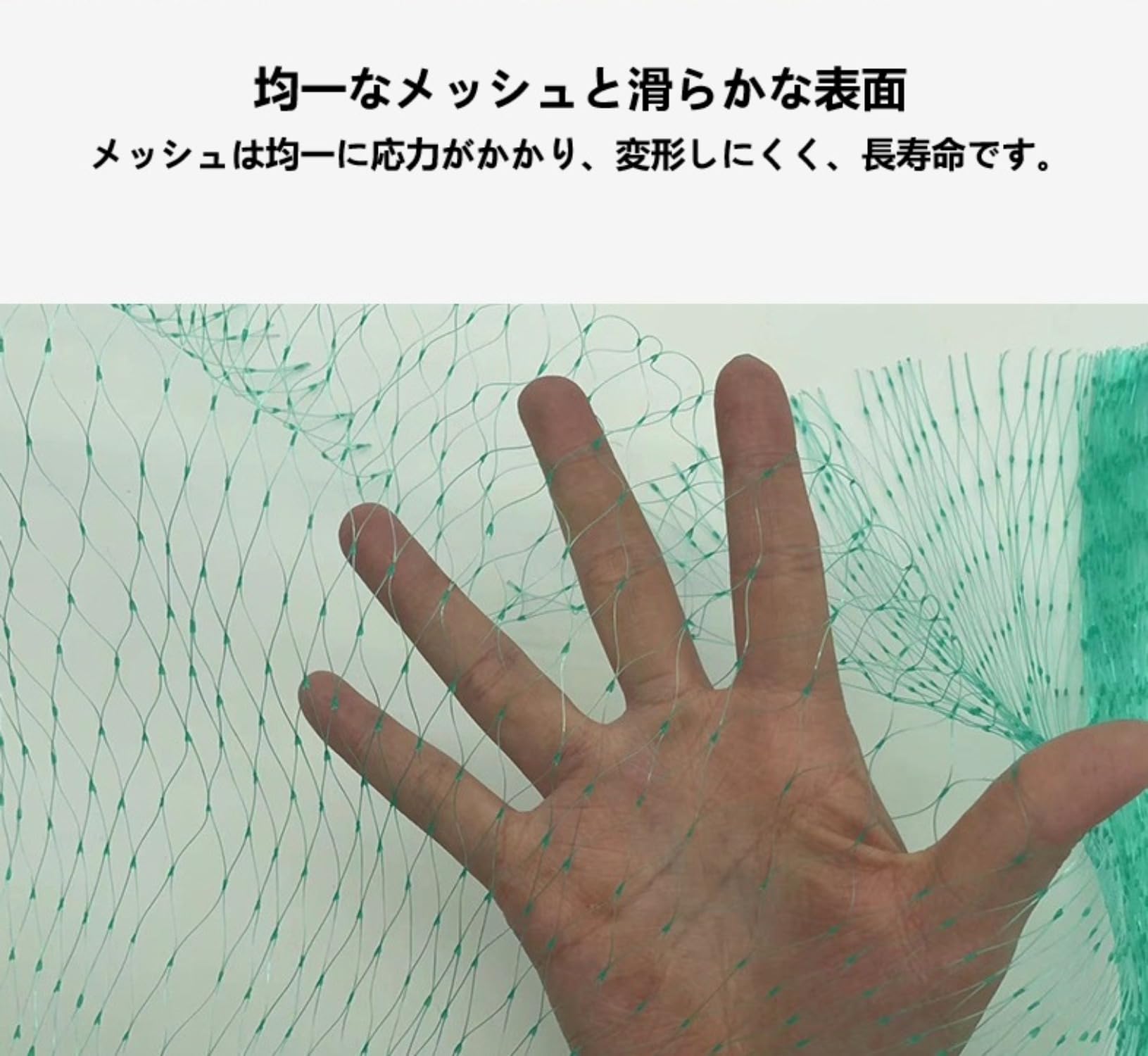 Amazon.co.jp: 防鳥ネット 緑色 鳥避けネット 20mm極細網目 鳥よけ 