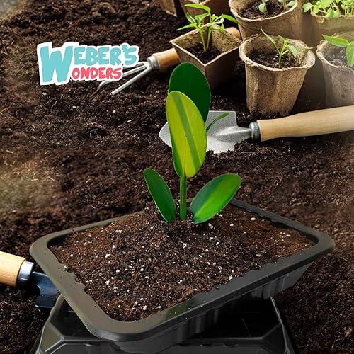 Miniatura 7 de Weber's Wonders Paquete de 10 bandejas de cultivo de plantas, sin agujeros de drenaje, bandejas perfectas para semillas de jardín, bandejas de