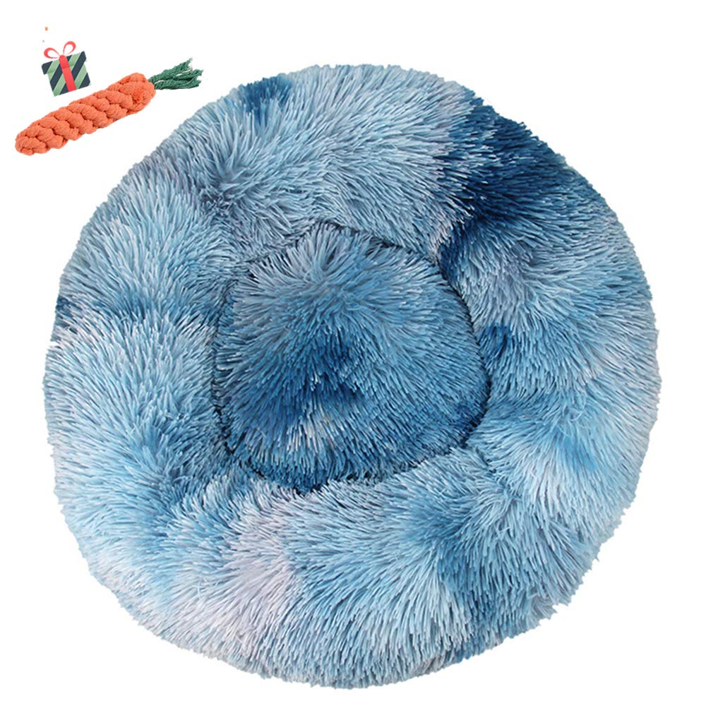 Animal domestique nest deep sleep panier rond bleu royal dans le salon