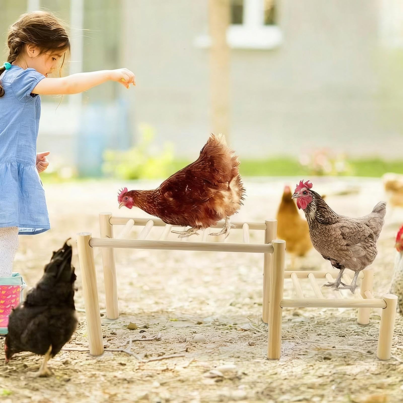 Posatoio Per Galline Da Pollaio,Giocattoli Per Polli Riutilizzabili E Facili Da Montare - Supporto per Appollaiarsi per Pulcini | per Cortile Giardino Pollaio e Spazi Gioco