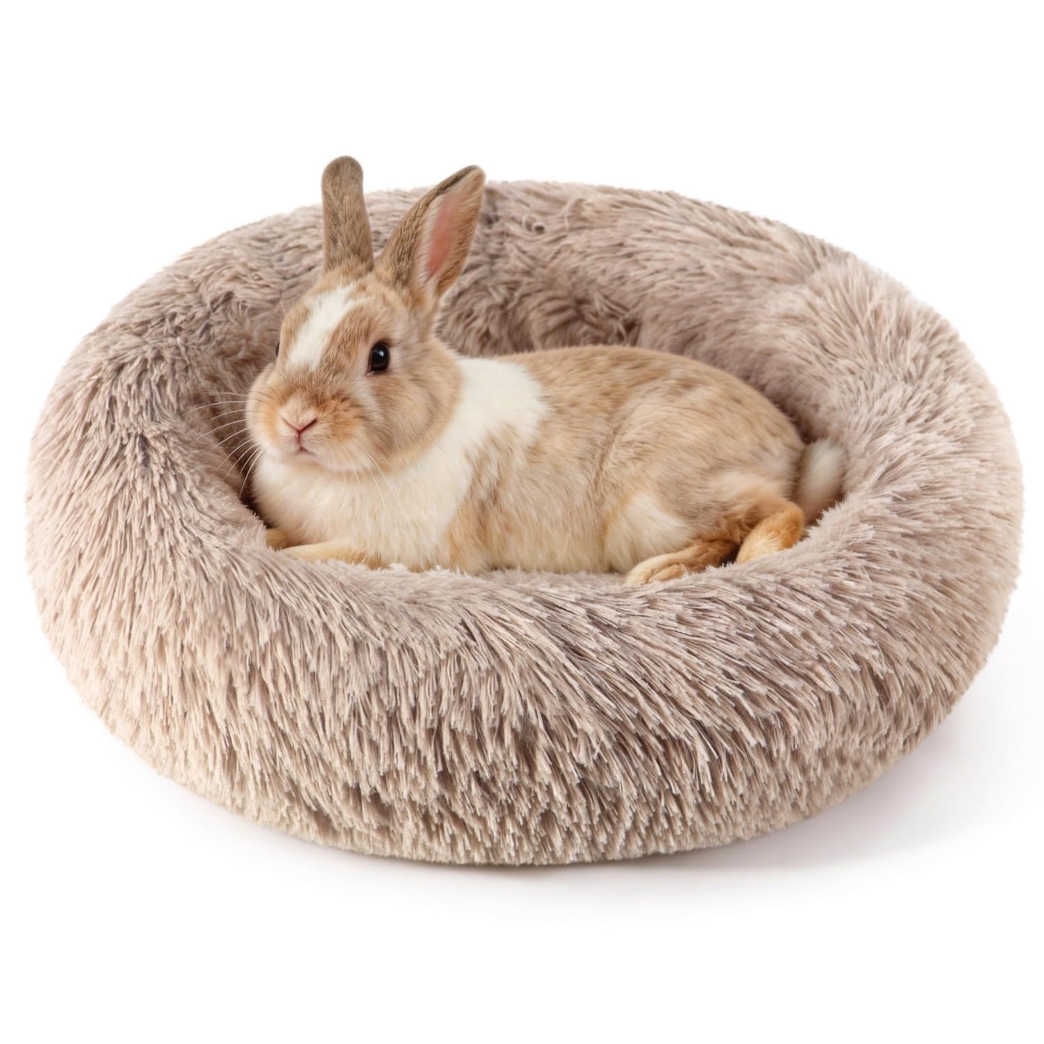Lit pour lapin en peluche pour sieste de chaton au salon