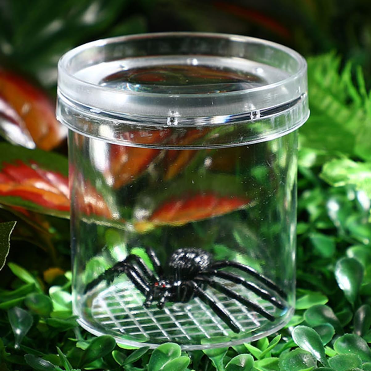 Toyvian 9Pcs Portable Insect Observation Jars Multi Function Magnifying Critter Containers Household Critter Keeper for Nature Exploration and Learning