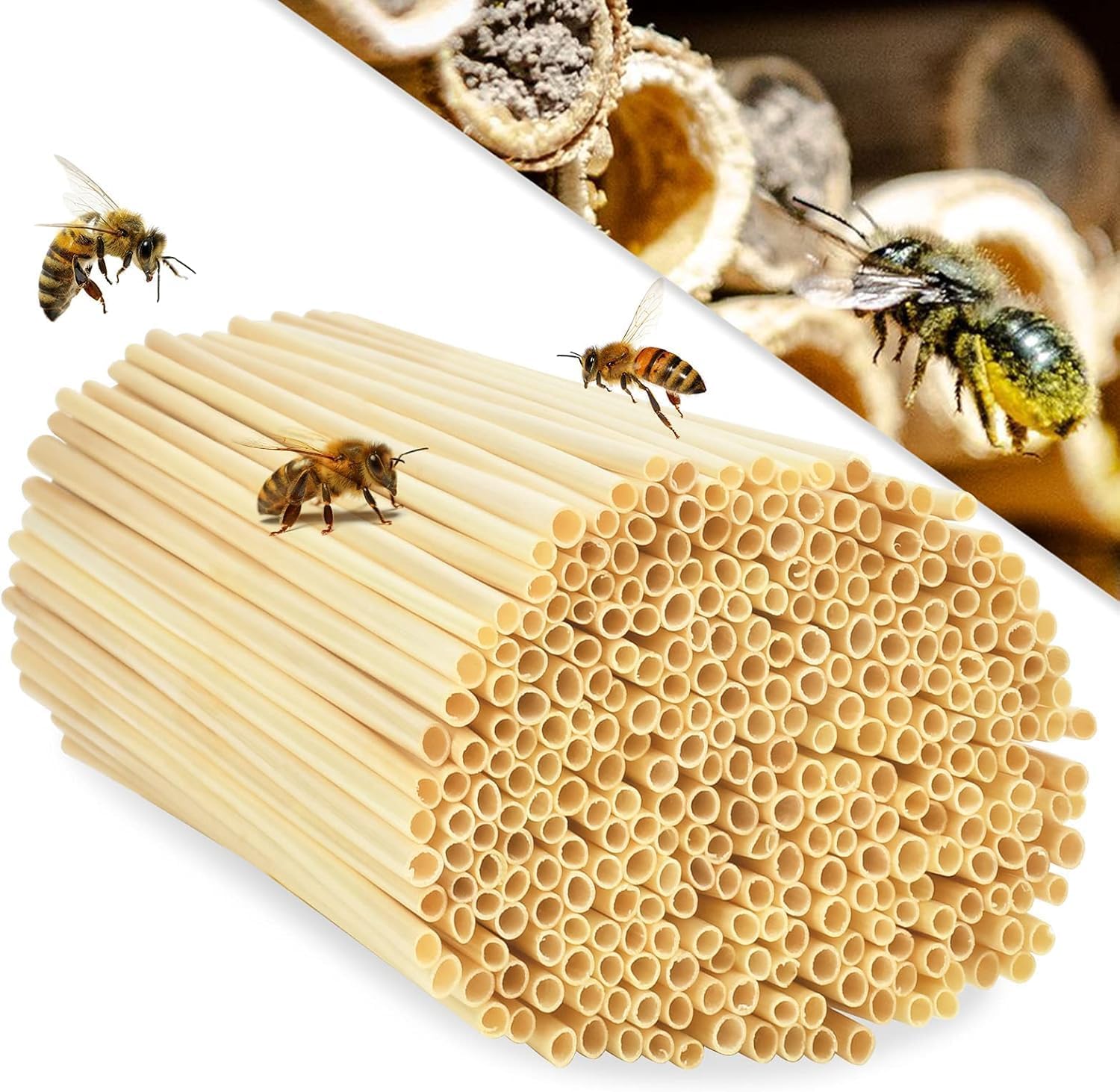 Insect Hotel Construction Kit Children 300 Natural Bee Hotel Filling Material Wheat Stalks, Nesting Tubes for Wild Bees Insect House Craft Items Waterproof for DIY Crafts Nesting Aids