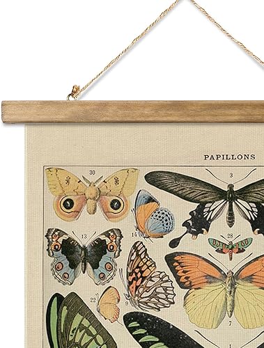 Miniatura 228 de XIAOAIKA Póster de botánica vintage con marco de madera, tabla de plantas venenosas antiguas, arte educativo botánico con especies peligrosas, 1