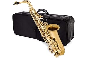 Jean Paul USA AS-400GP Student Alto Saxophone Premium Bundle: Unlocking Musical Potential for Beginners