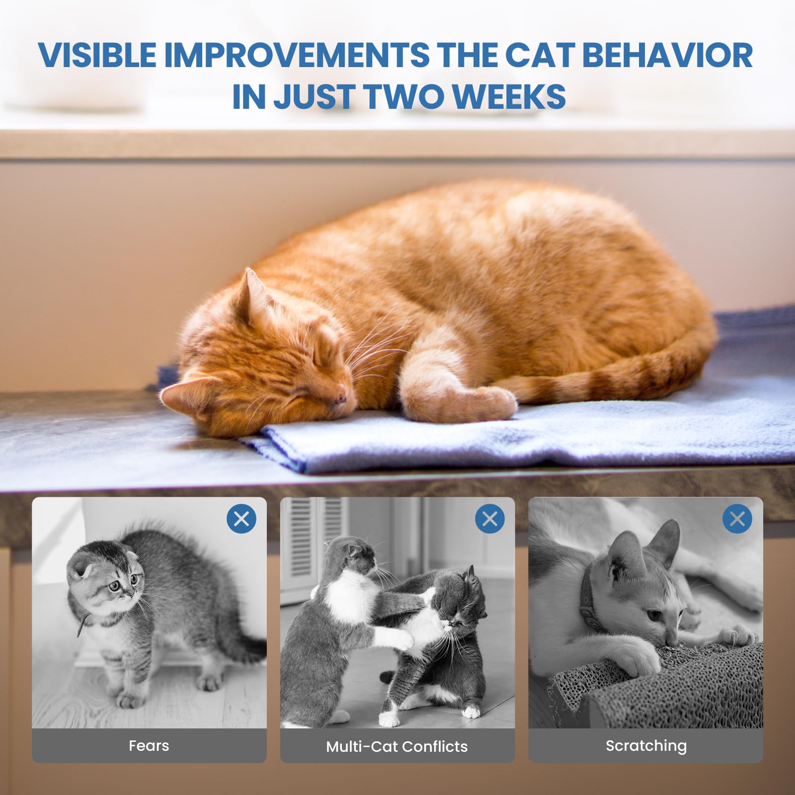 120 Tage Pheromone Katzen Beruhigung Steckdose Entspannende Naturpheromone Lindern Stress Ängste bei Katzen Reduzieren Kratzverhalten Set mit 2 Steckdosen-Diffusoren 4 Nachfüllflaschen (je 48 ml)