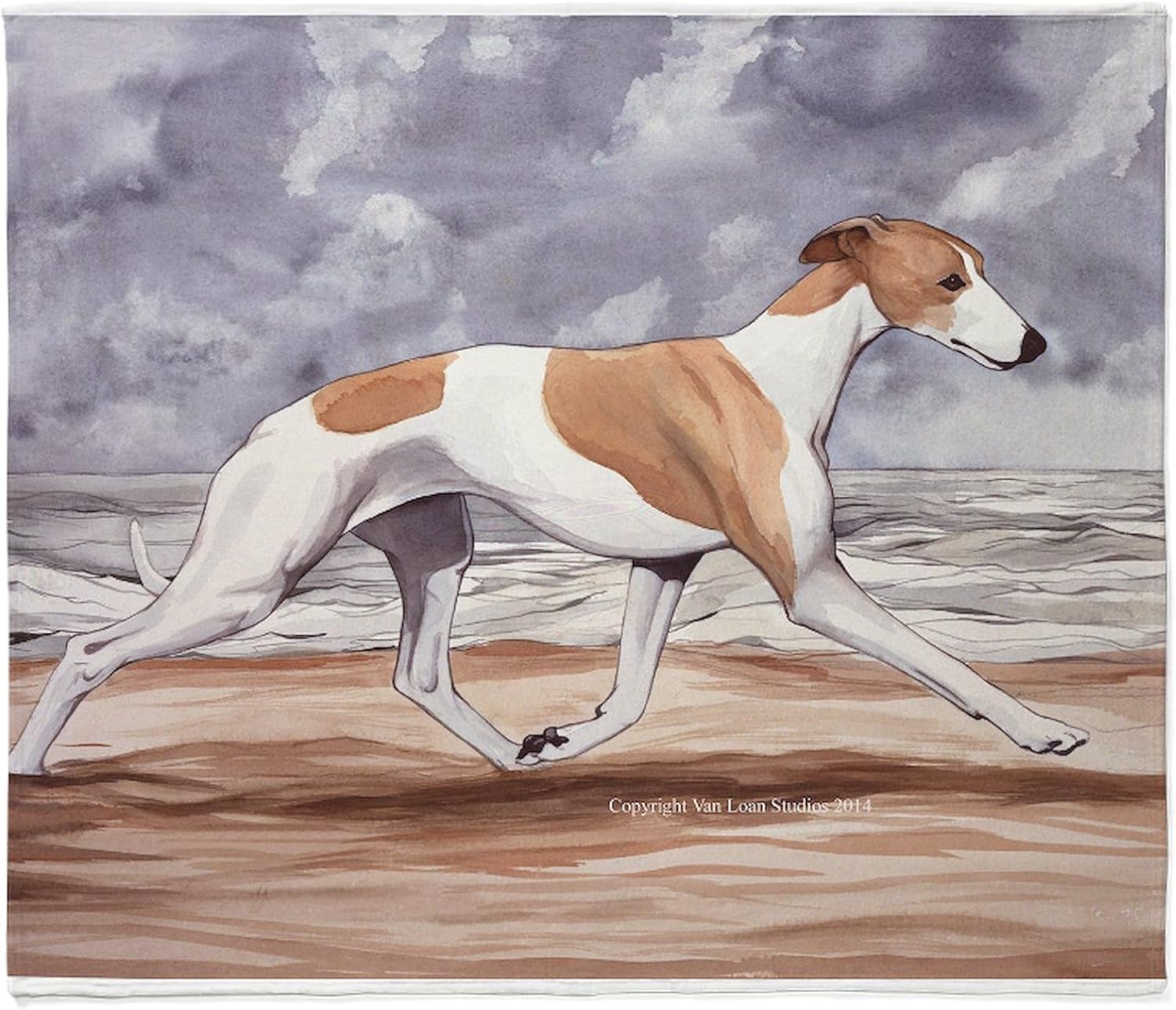 CafePress Whippet On The Beach Throw Blanket Super Soft Fleece Plush Throw Blanket, 60"x50"