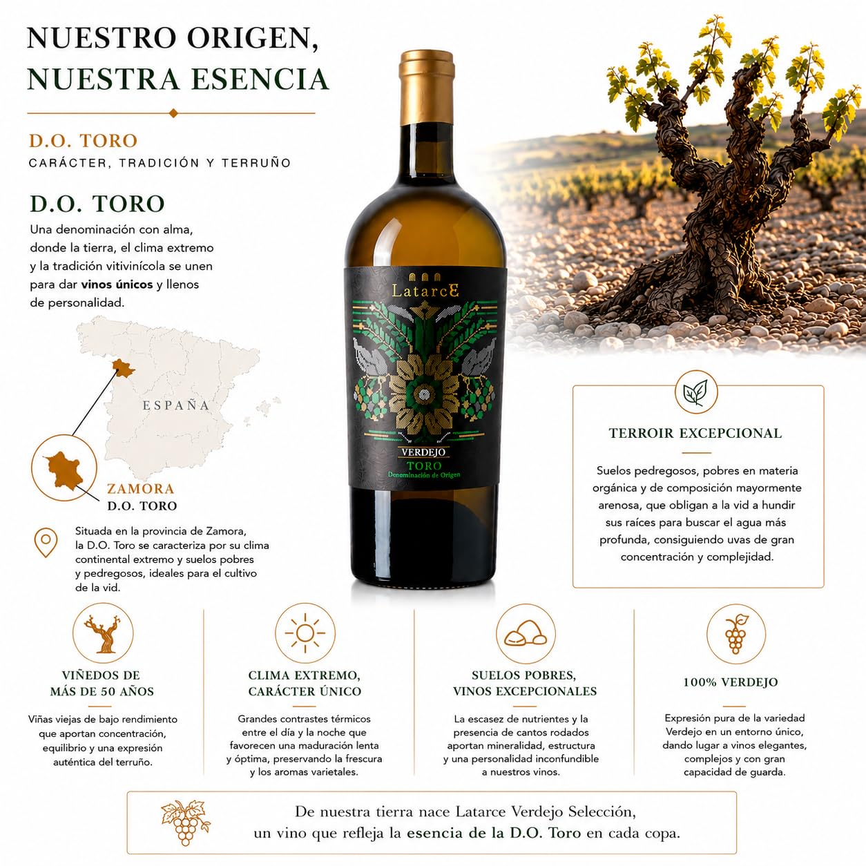 Latarce | Vino Blanco Verdejo Selección | D.O. Toro 100% Verdejo Viñedos 50 Años | 4 Meses en Barrica de Roble Americano | Estuche Individual 75cl | Edición Limitada