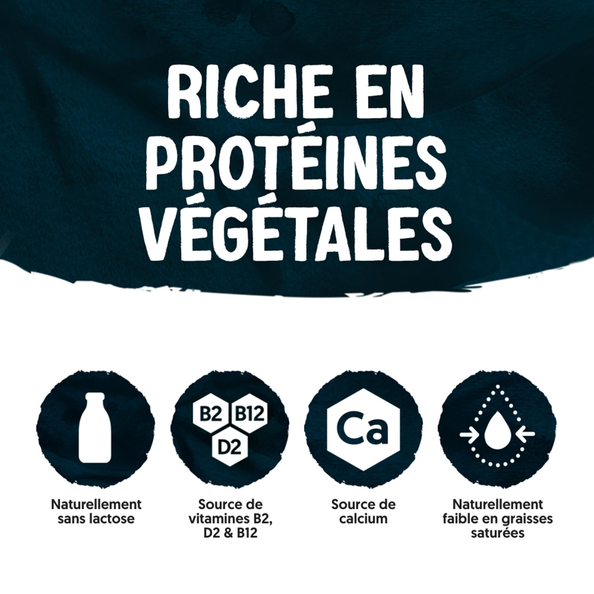Alpro - Boisson végétale - Soja protéine goût caramel café - 250ml - Lot de 15x250ml