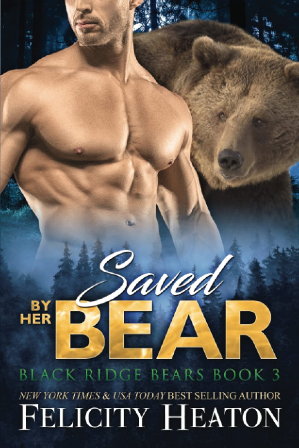 Saved by her Bear: 3 (Black Ridge Bears Shifter Romance Series)