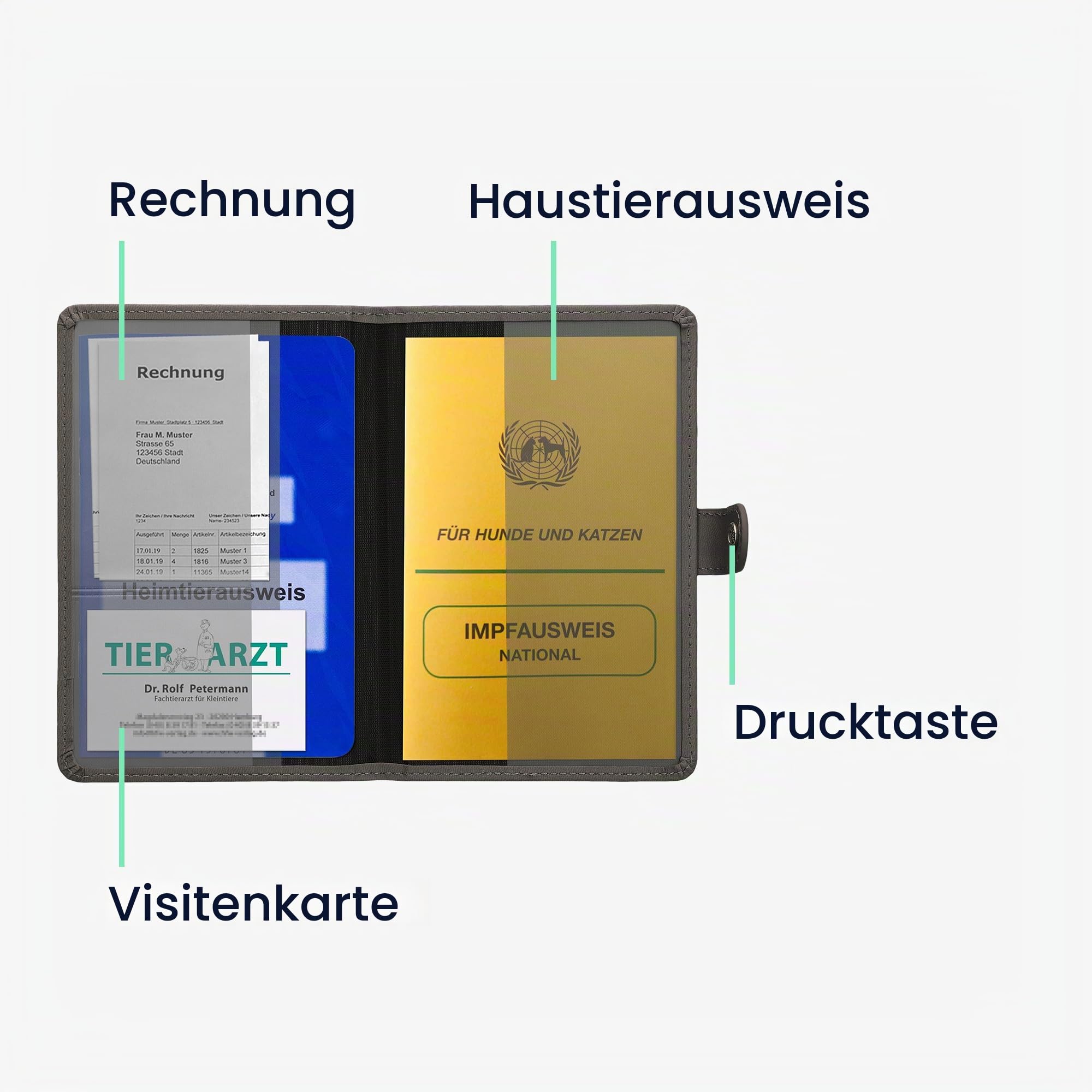 kwmobile Impfpass Hülle für Tiere - Schutzhülle für EU Heimtierausweis - Haustier Impfausweis Cover Kunstleder - kompatibel mit deutschem Impfausweis für Tiere - Image 4