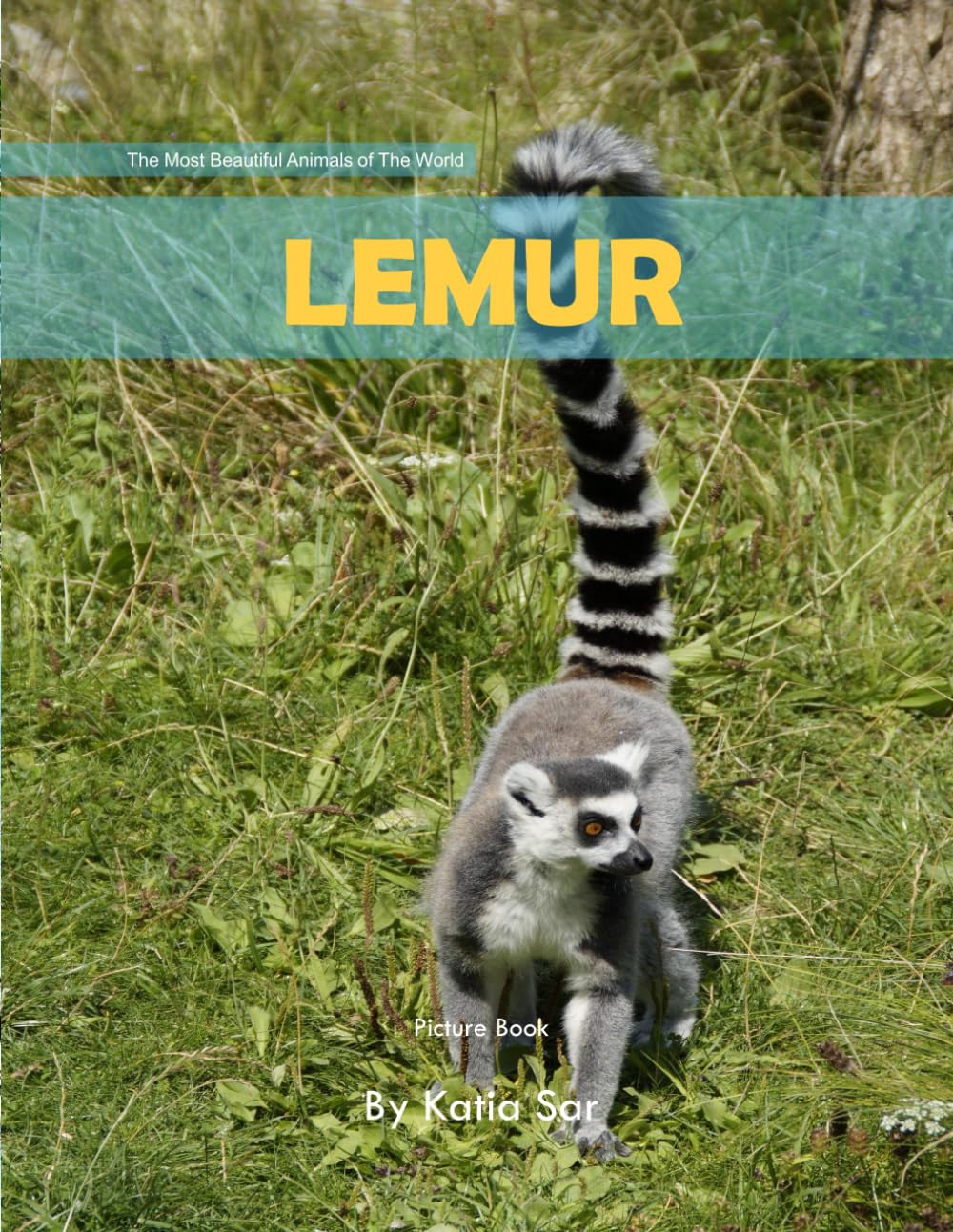 Lemur: A perfect Coffee Table Picture Book - For Animal Lovers and Wildlife Enthusiasts .