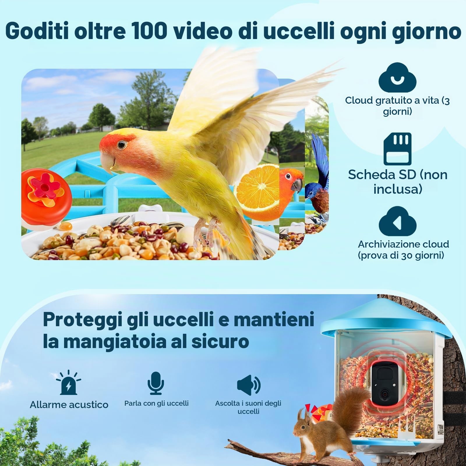 VEVOR Mangiatoia per Uccelli Intelligente con Telecamera, 2K HD AI Identifica Oltre 10000 Specie di Uccelli, Energia Solare con Acquisizione Automatica e Notifica Istantanea 2 Pannelli Solari