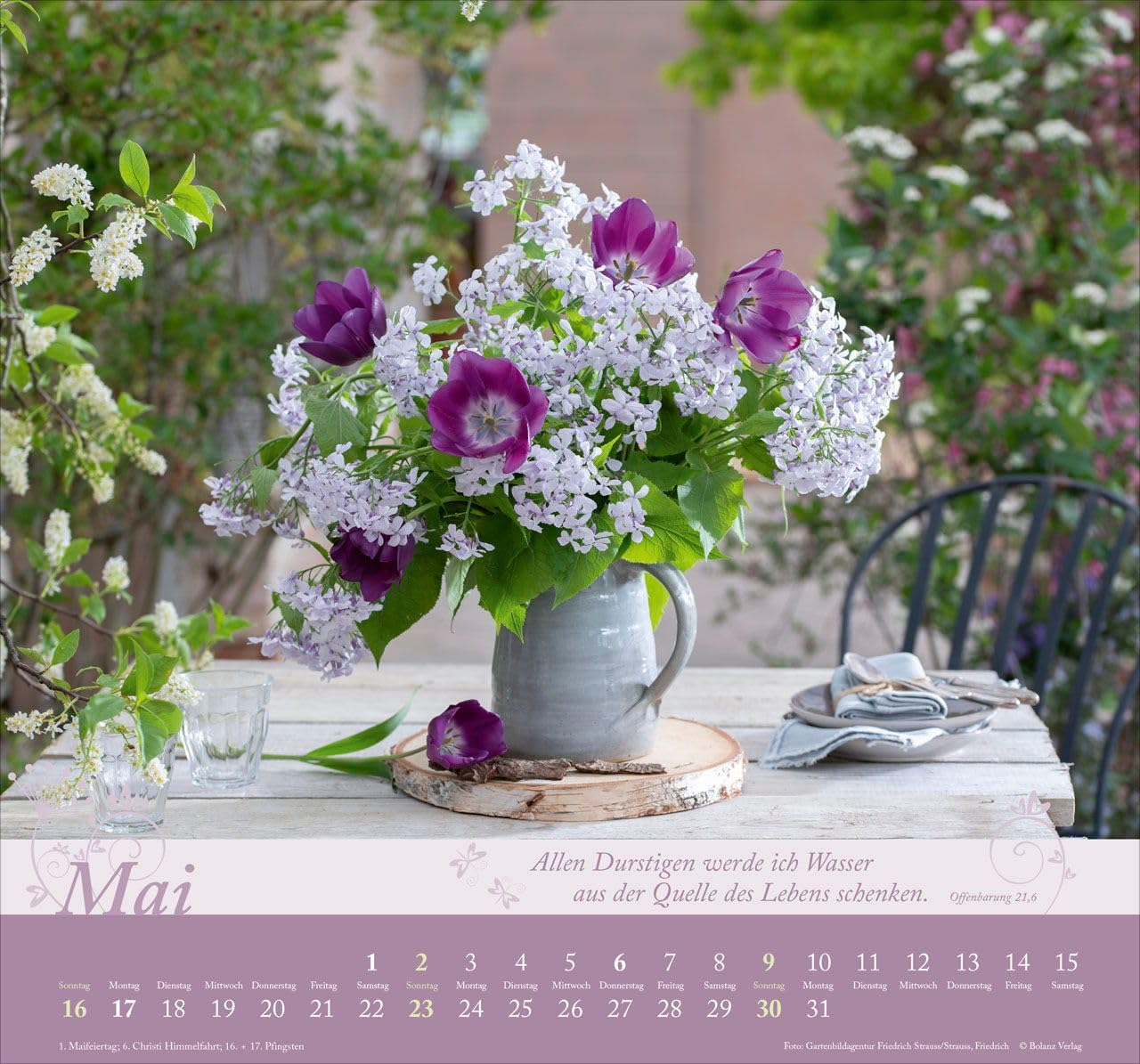 Im Garten zuhause 2027 – Wandkalender