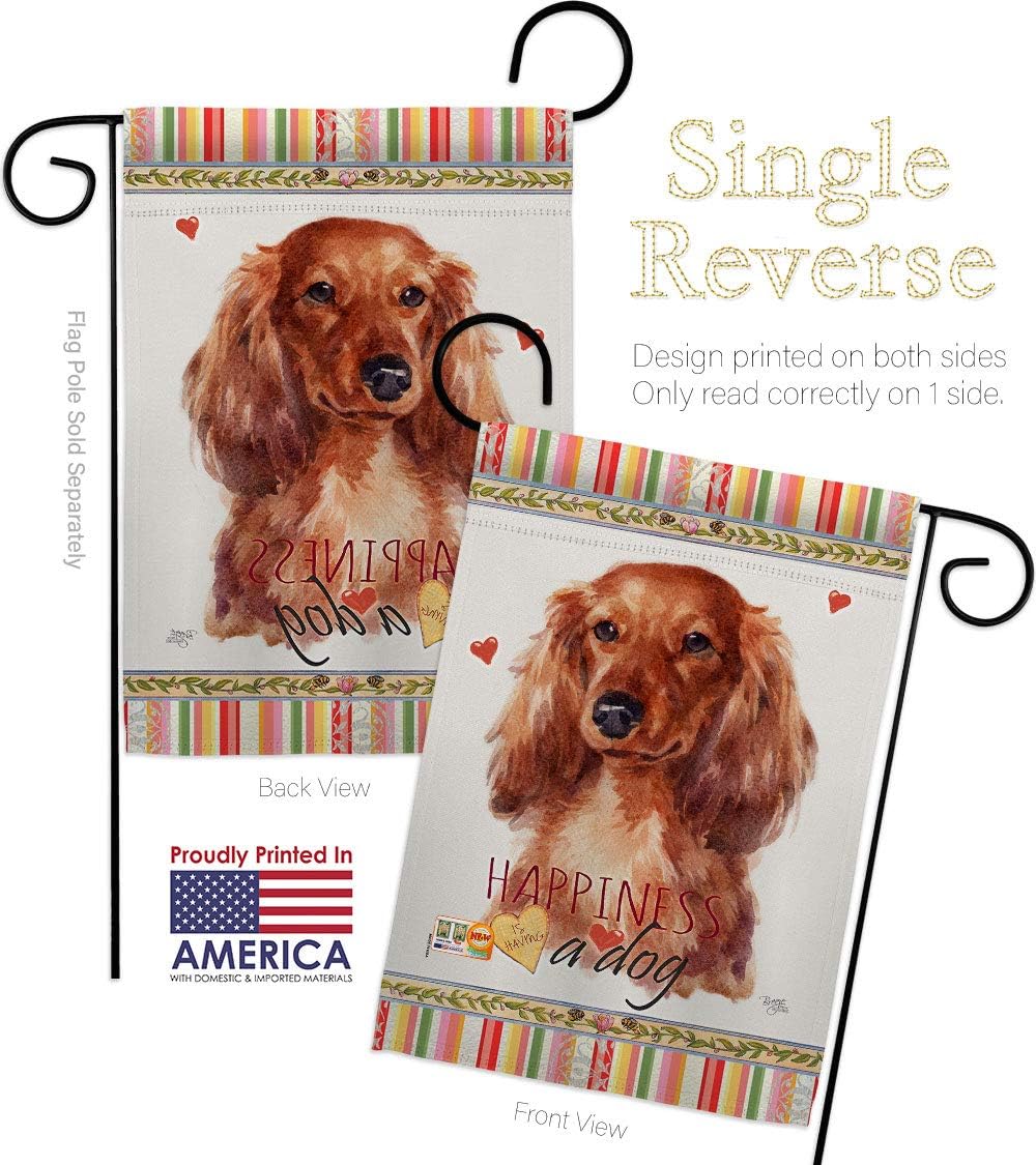 Long Hair Dachshund Happiness Garden Flag Set Wall Hanger Animals Dog Puppy Spoiled Paw Canine Fur Pet Nature Farm Animal Creature Small Gift Yard House Banner Made In USA 13 X 18.5