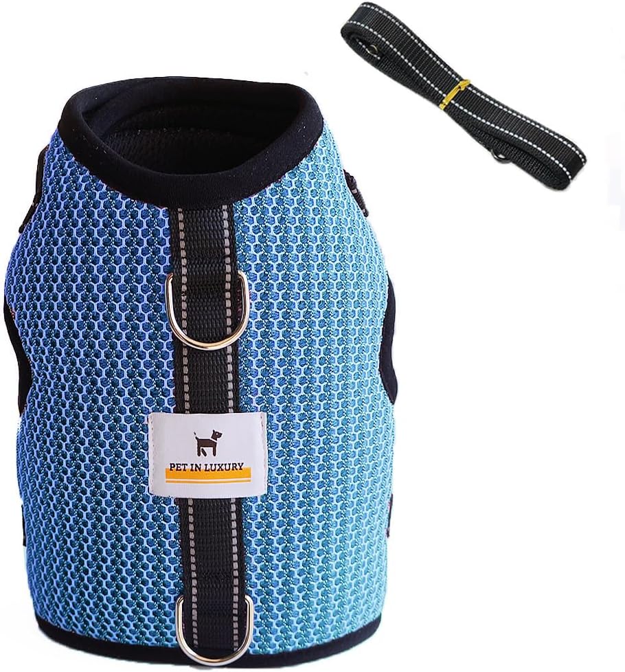 Mini Dachshund Harness Vest, No Pull & No Armpit Rub Dachshund Harness, Escape Proof Adjustable Dog Harness for Walking (Blue, L: Chest 21"-25"/ 53-63cm)