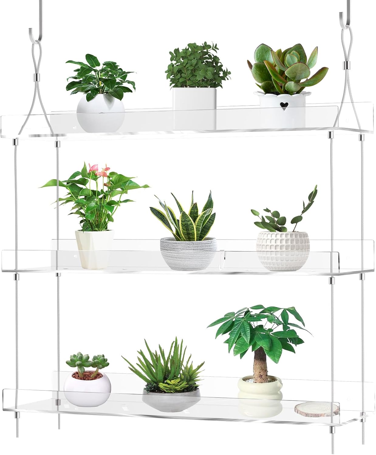 Amazon.com : laapee 3-Tier Clear Acrylic Hanging Window Plant Shelves