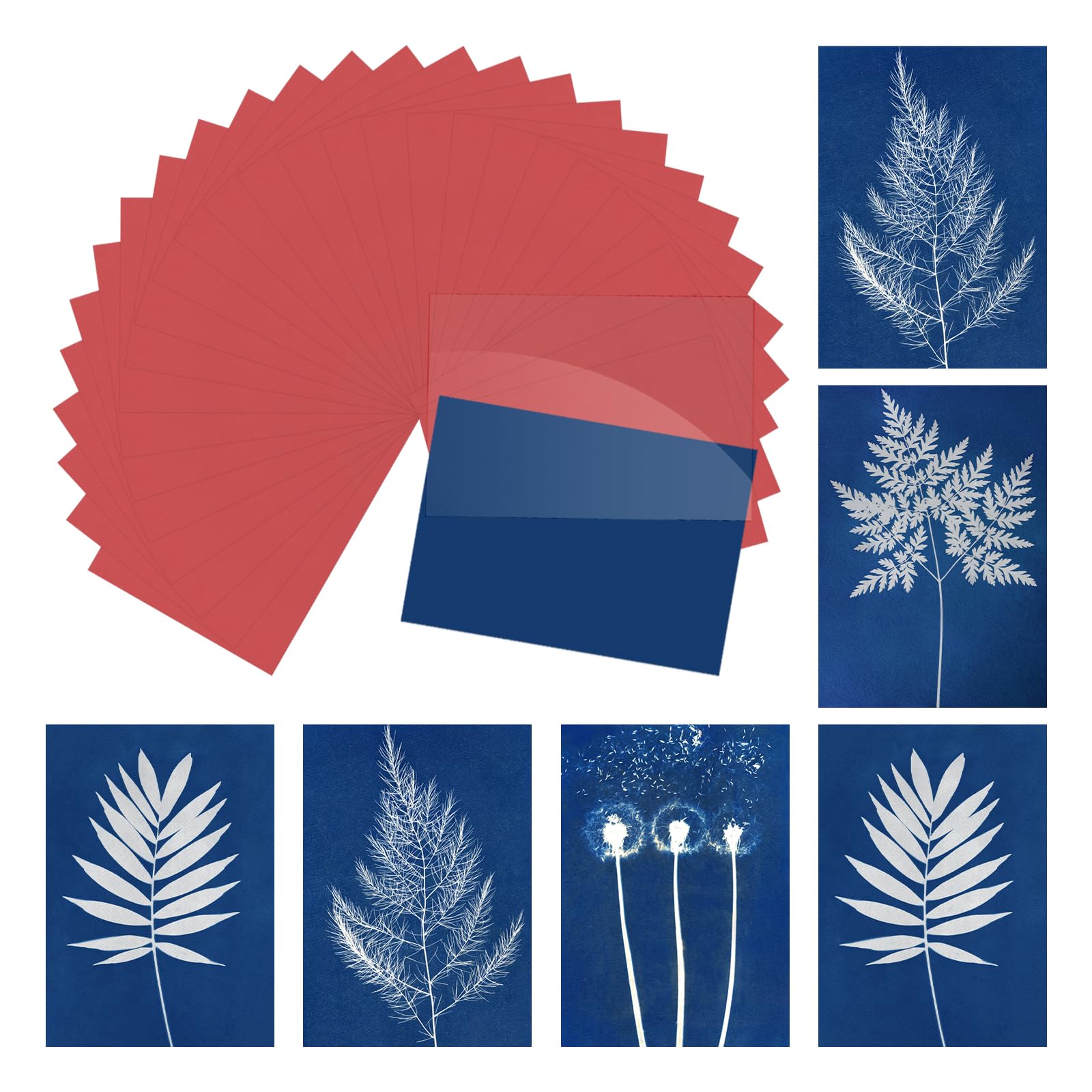 sourcing map Cyanotype Paper,12 Sheet Sun Print Kit High Sensitive Sun Red Crafts Paper with Acrylic Board for Adults DIY Project Art,8.5x11.6 Inch (A4)