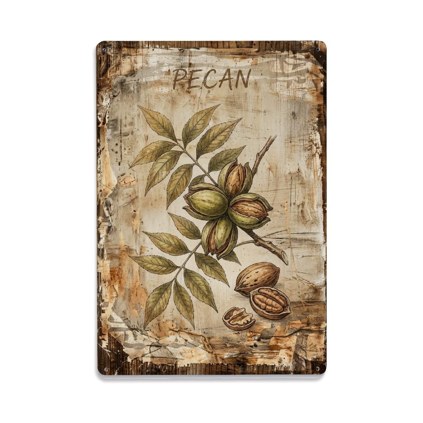 Pecan Tree Nut Vintage Metal Tin Sign Plaque Wall Decor for Cafe, Club, Garden Metal Poster 8x12Inch