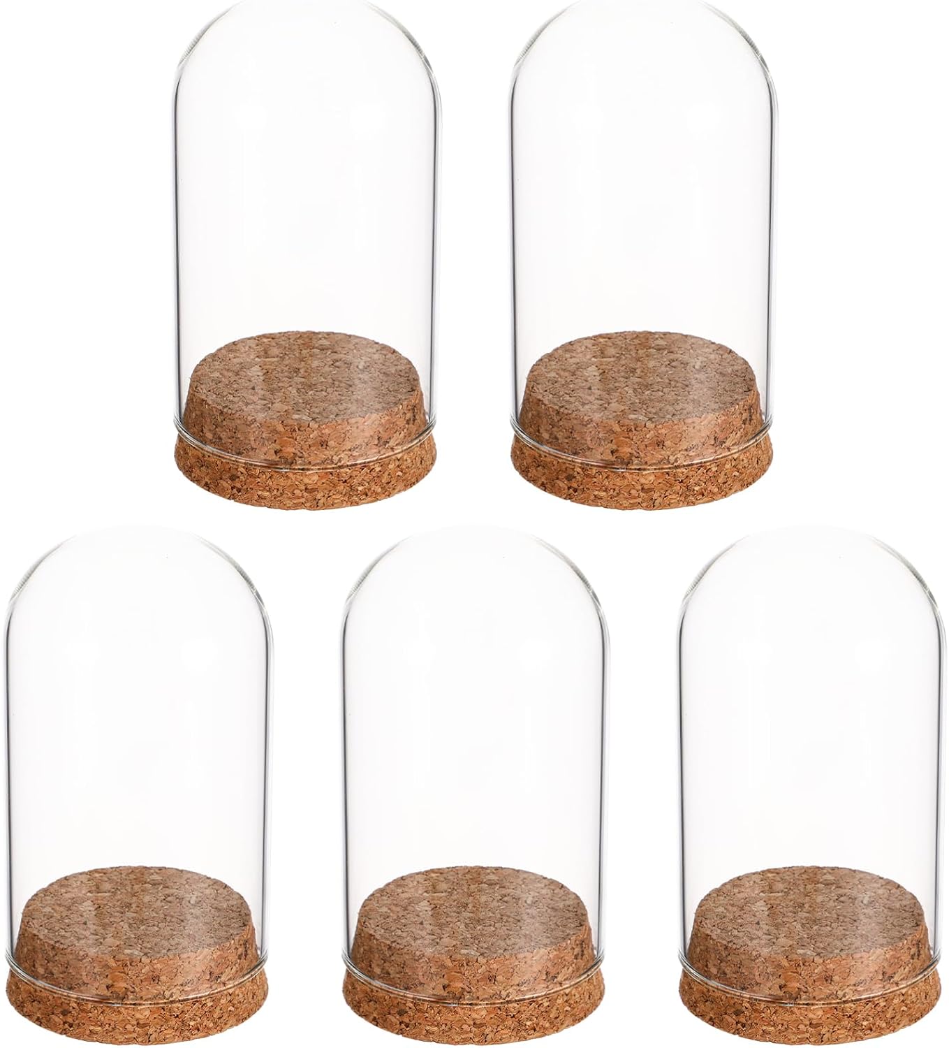 Gatuida 5pcs Glass Cloche Dome Display Cover Transparent Glass Display Cloche Case with Cork Base, 3.93 x 2.36 Inch, for Eternal Flower Decoration