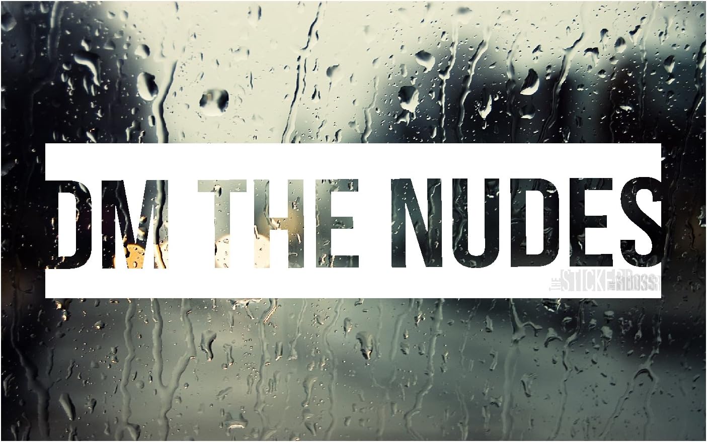 DM The Nudes car Window JDM Decal/Sticker - Pick Your Color - Slap Style - Durable Will Last up to 6 Years Outdoors - Precision Cut Vinyl- Made in The USA - Custom Look -
