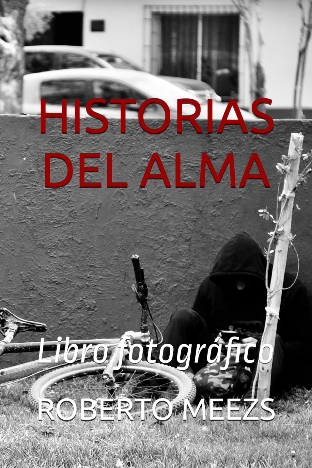HISTORIAS DEL ALMA