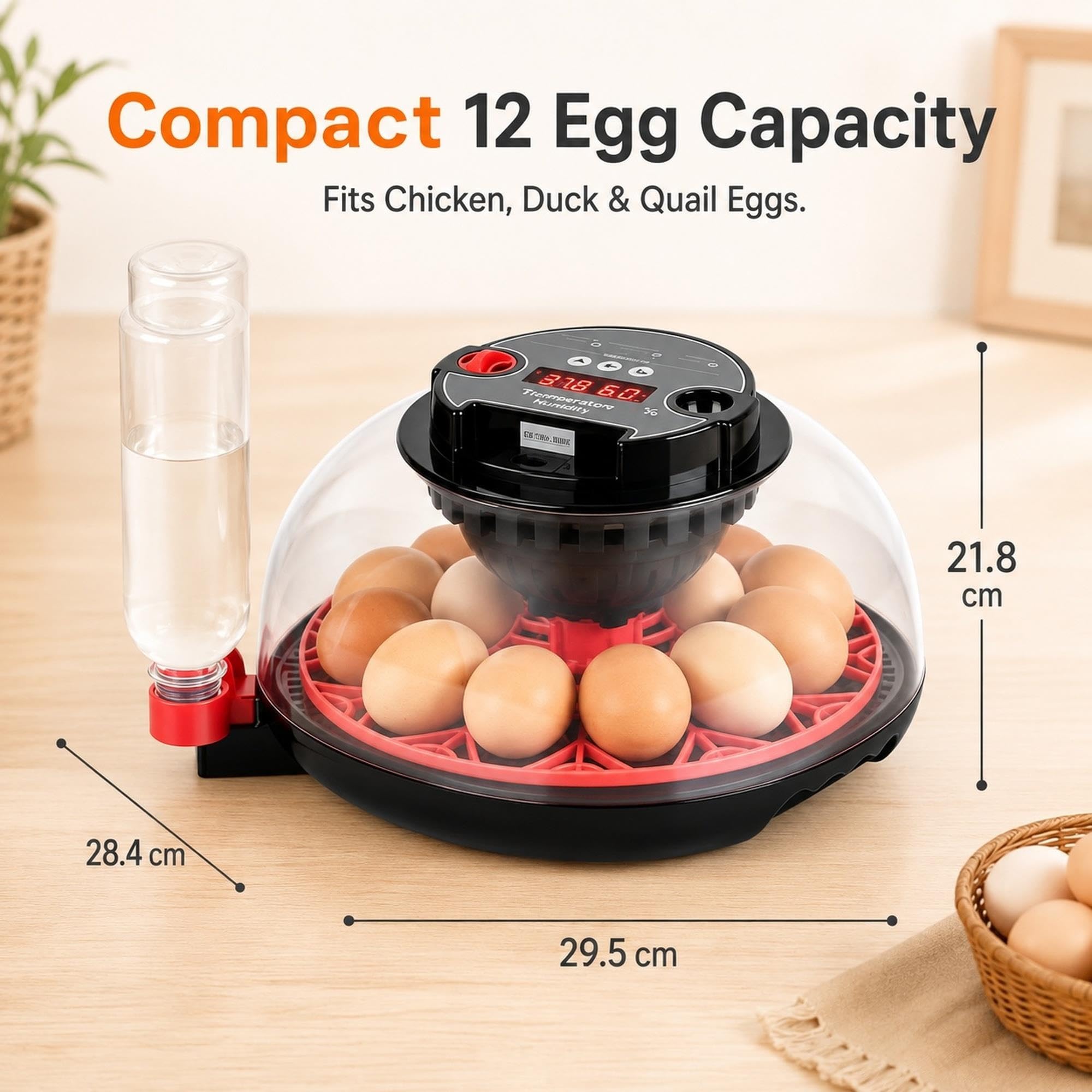 Incubatrice for 12 uova con rotazione automatica