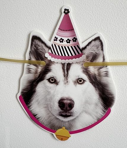 Miniatura 10 de Cartel de Feliz Cumpleaños Guirnalda de Gato Divertida Decoración de Cumpleaños Cara de Gato Cumpleaños Decoración Banderines Decoración Oro