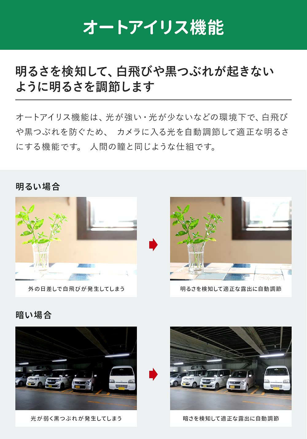 Amazon.co.jp: WTW 塚本無線 安心の国内サポート 500万画素 AHD 屋外防