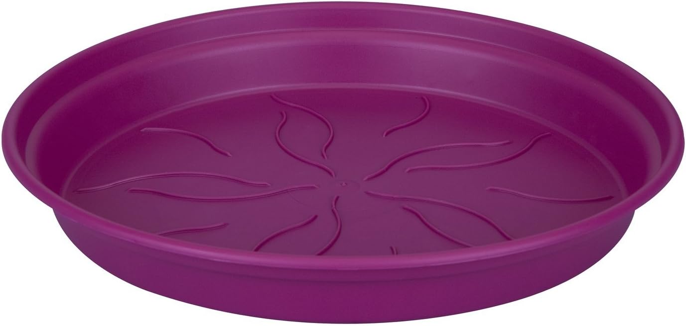 elho Green Basics Coaster 29 - Coaster for Growing and Harvesting - Diameter 29.3 x H 4.2 cm - Purple/Faded Purple