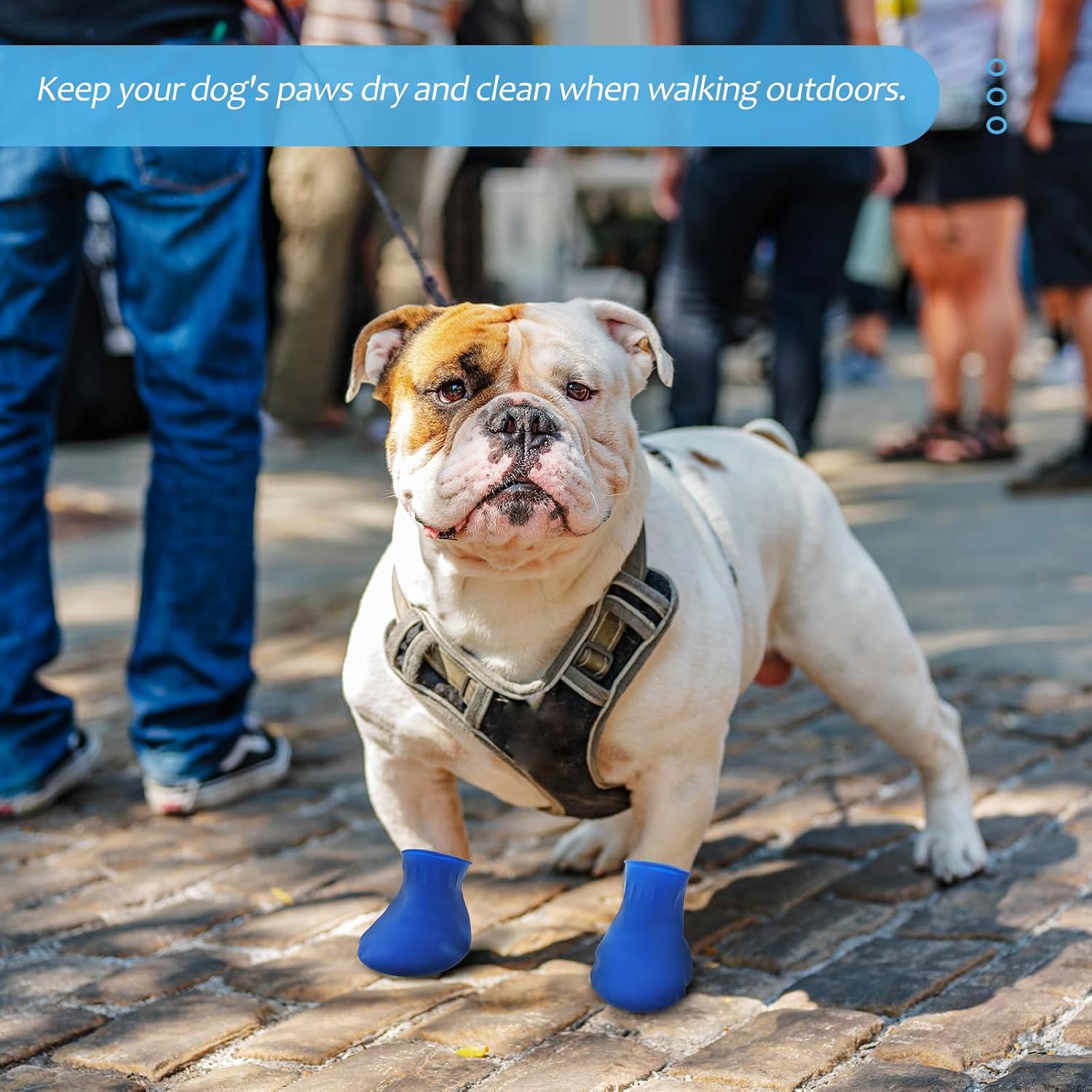 Hemobllo Waterproof Dog Shoes Size S Non-Slip Outdoor Boots Paw Protectors Durable Rain Shoe Covers for Cats and Dogs