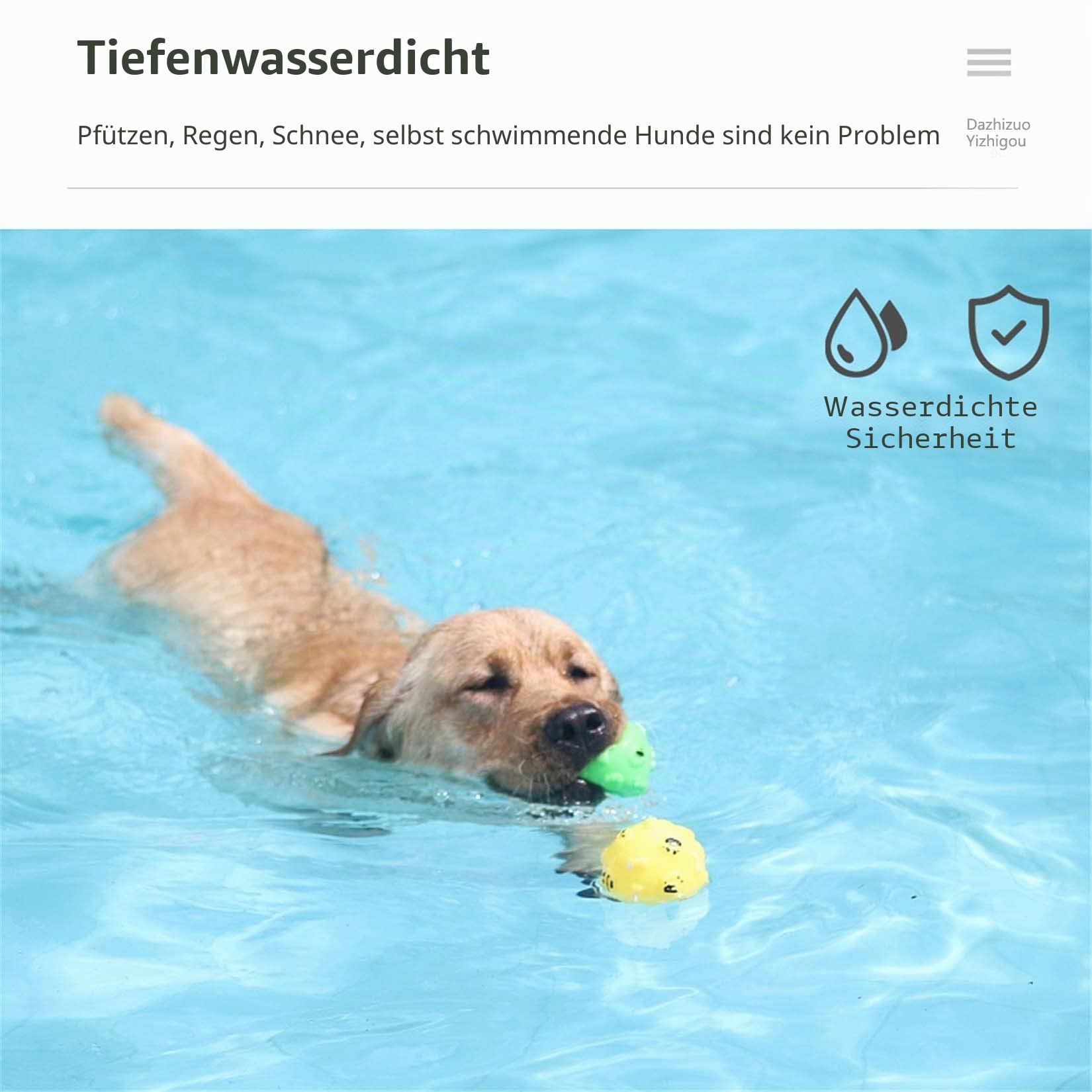 New Interaktives Führungshalsband, Hundespielzeug, wasserdicht, DREI Modi, geeignet für Verschiedene Hundegrößen (d5)