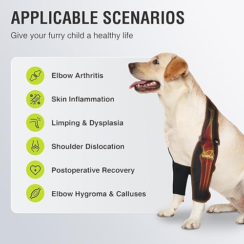 Miniatura 4 de Almohadillas protectoras para coderas de perro para codo canino y hombro, displasia, osteoartritis, callos de codo, úlceras por presión, coderas de