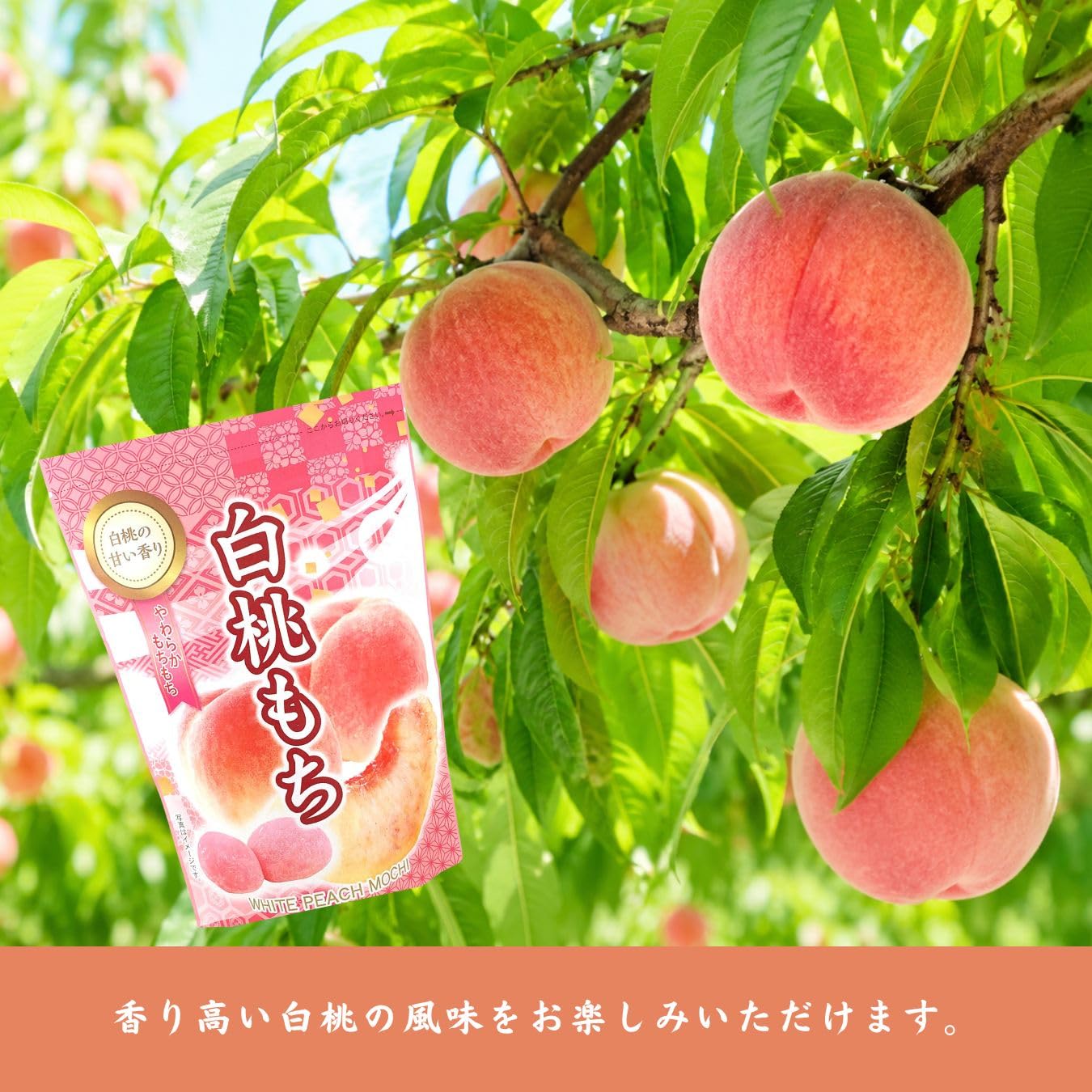 Amazon | 世起 白桃もちSP 130g×2個セット | 世起 | もち菓子 通販