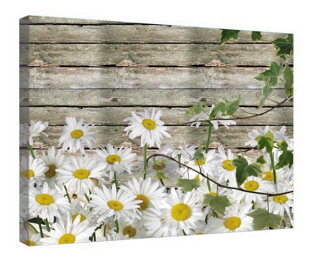 Cuadro de margaritas para pared: lienzo de madera Summer Barn, decoración rústica 4
