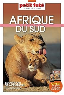 Guide Afrique Du Sud 2025 Carnet Petit Futé (2025)