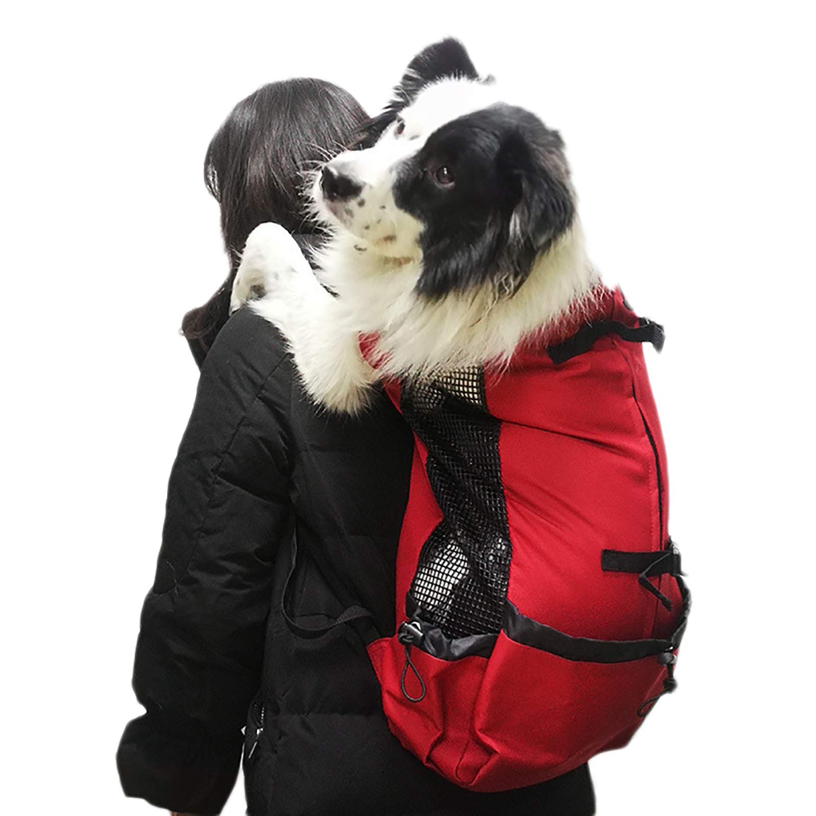 Sac à dos réglable grand chien : la solution respirante pour transporter votre Bulldog fatigué