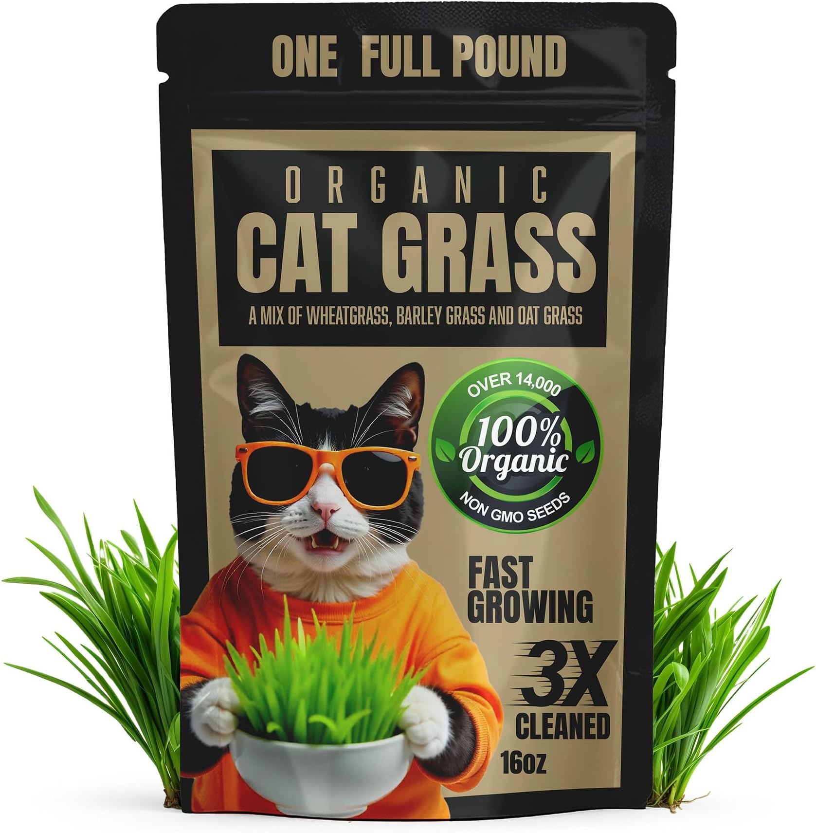 ANVEVO Organic Cat Grass | Non-GMO Mixed Heirloom Seeds | Wheatgrass, Oat, Barley Blend (16oz)