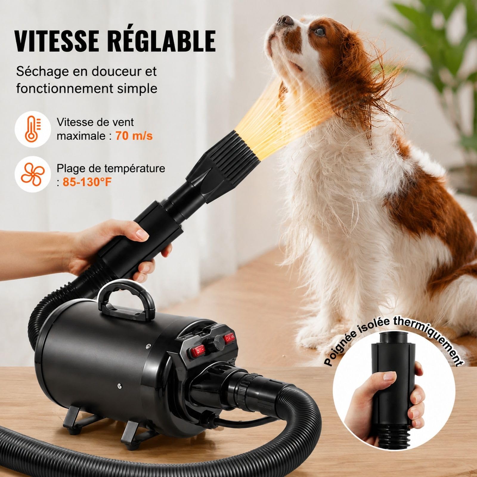 Souffleur séchoir pour chien 2000 W, vitesse d'air 70 m/s réglable, température ajustable, 4 buses, tuyau extensible, toilettage des animaux, noir, fer et ABS