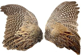 American Feathers Ringneck Pheasant Wings, Spread - per Pair
