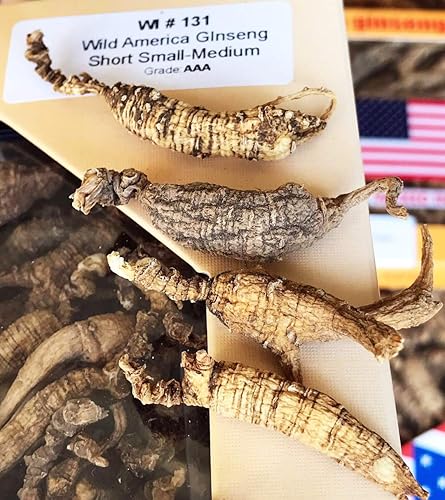 Miniatura 2 de 8OZ8.01 ozBox American Wild Ginseng 1520 Years, Wisconsin Whole Ginseng Root Hand-Selected Cultivated American Wisconsin Ginseng WI 131#