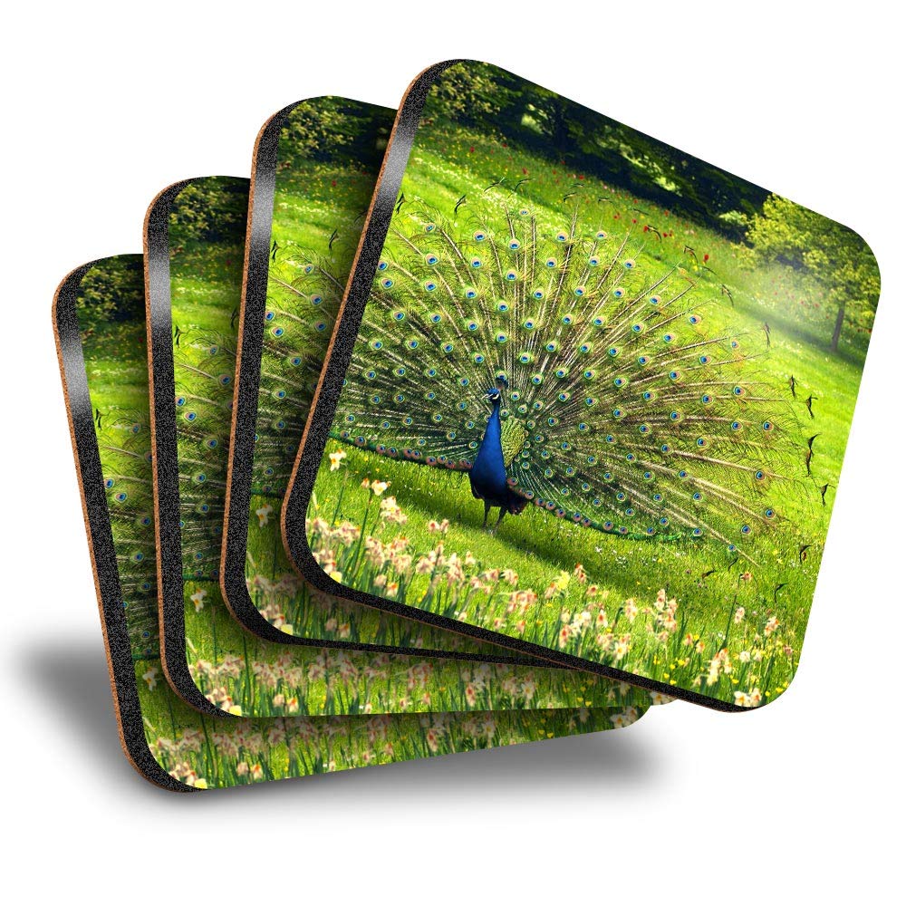 Destination Vinyl Ltd Great Coasters (Set of 4) Square - Peacock Tail Feathers Bird Drink Glossy Coasters/Tabletop Protection for Any Table Type #3560