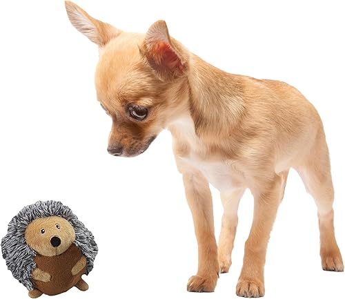 Ethical Pet Butterballs - Juguete para perro, 4 pulgadas, bosque, surtido para todos los tamaños de raza