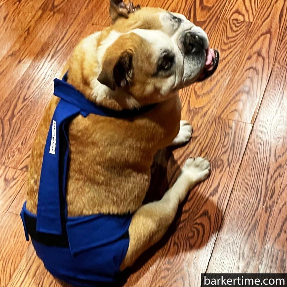 Royal Blue Dog Diaper Overall, S, Without Tail Hole - Made in USA