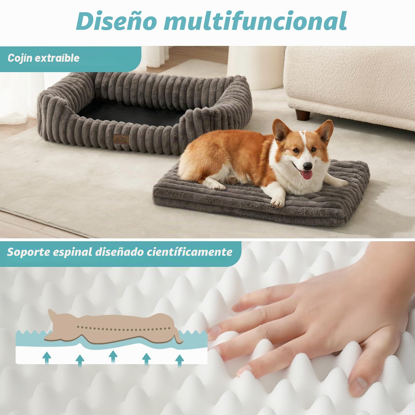 COZY KISS Cama Ortopédica para Perros y Gatos, Sofá Lavable para Gatos, XL | Gris, Mascotas pequeñas y medianas, cubierta desmontable, base antideslizante, forro impermeable, espuma de soporte