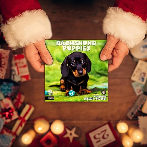 Miniatura 5 de Red Ember - Mini calendario de pared para espacios pequeños  Cachorros salchicha 2024 se puede colgar mensualmente por Red Ember  Solo 7 x 14