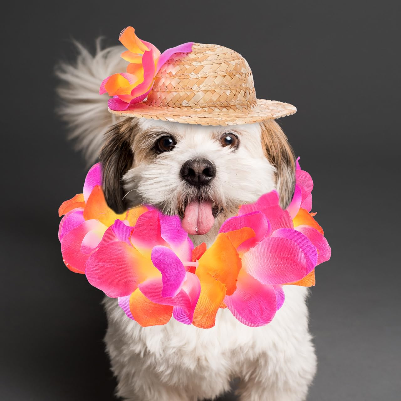 Cabilock Costume HawaïEn pour Chien avec Chapeau De Paille Et Guirlande Accessoires pour Animaux De Compagnie Tenue D'ÉTé Respirante avec Sangles Ajustables pour FêTes Photographie Et Vacances